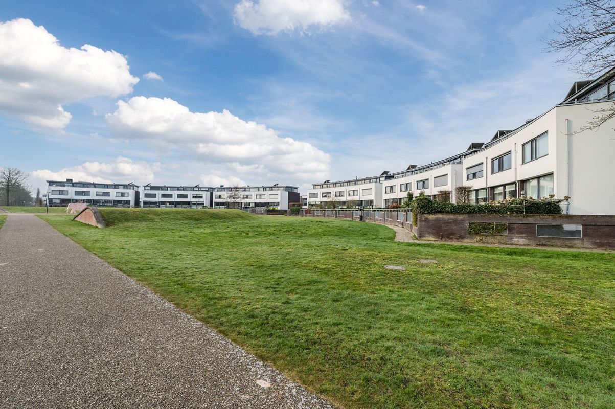 Fangorn 16 Photo Blur 57