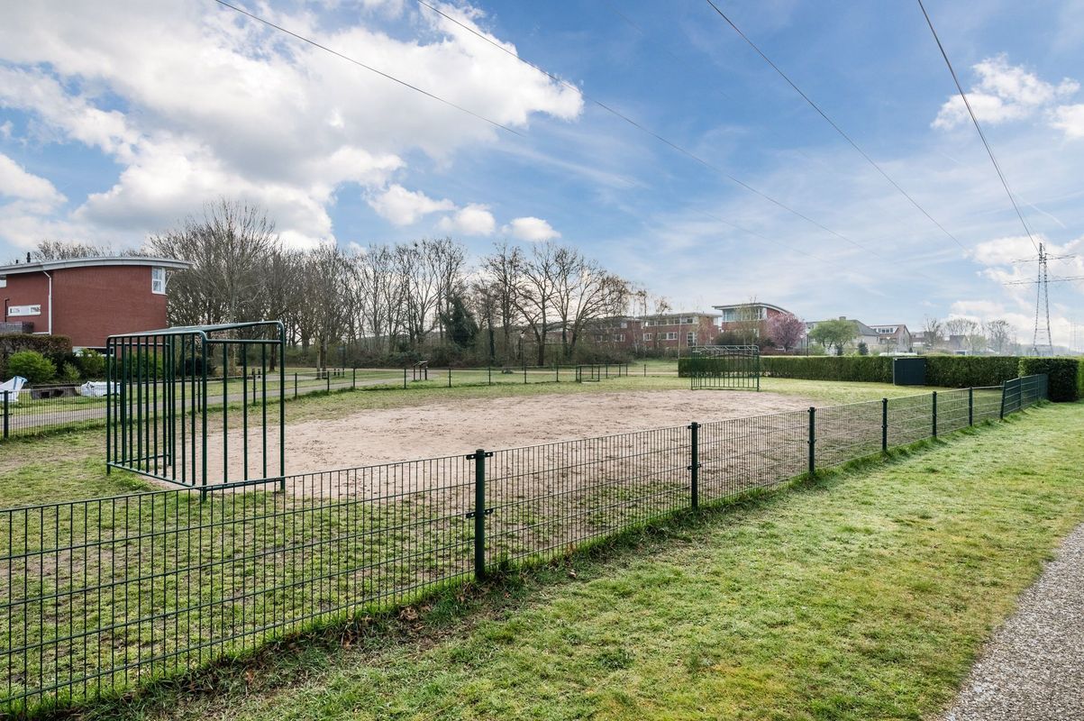 Fangorn 16 Photo Blur 58