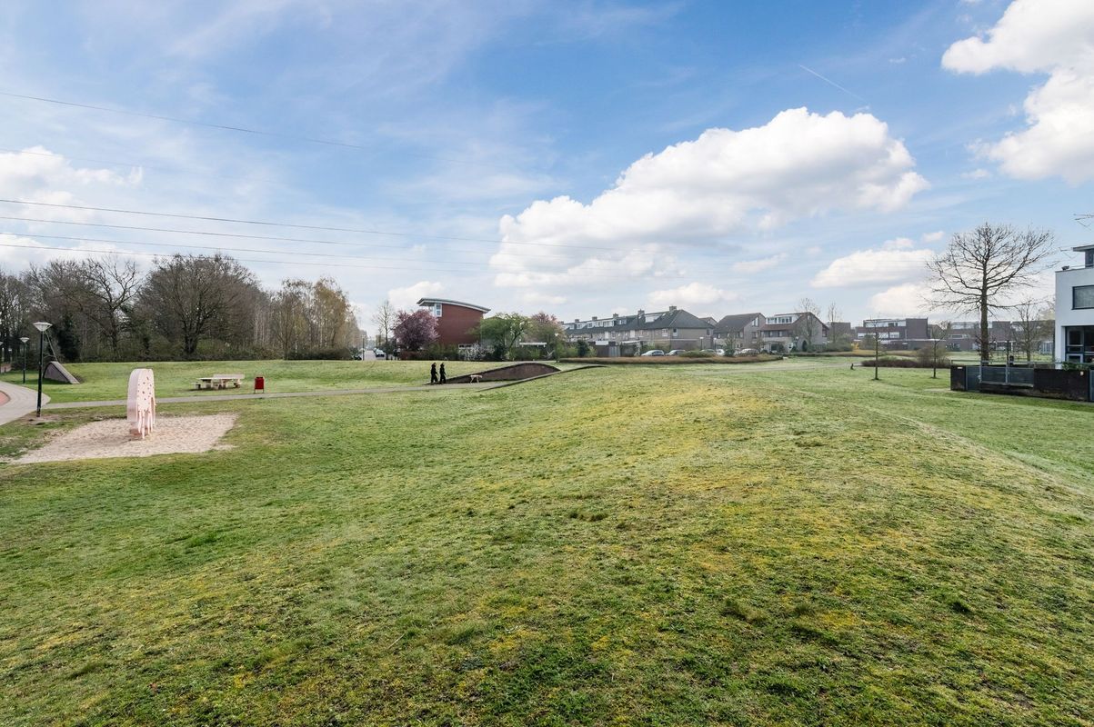 Fangorn 16 Photo Blur 61