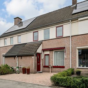 Tarweland 11 Photo 4