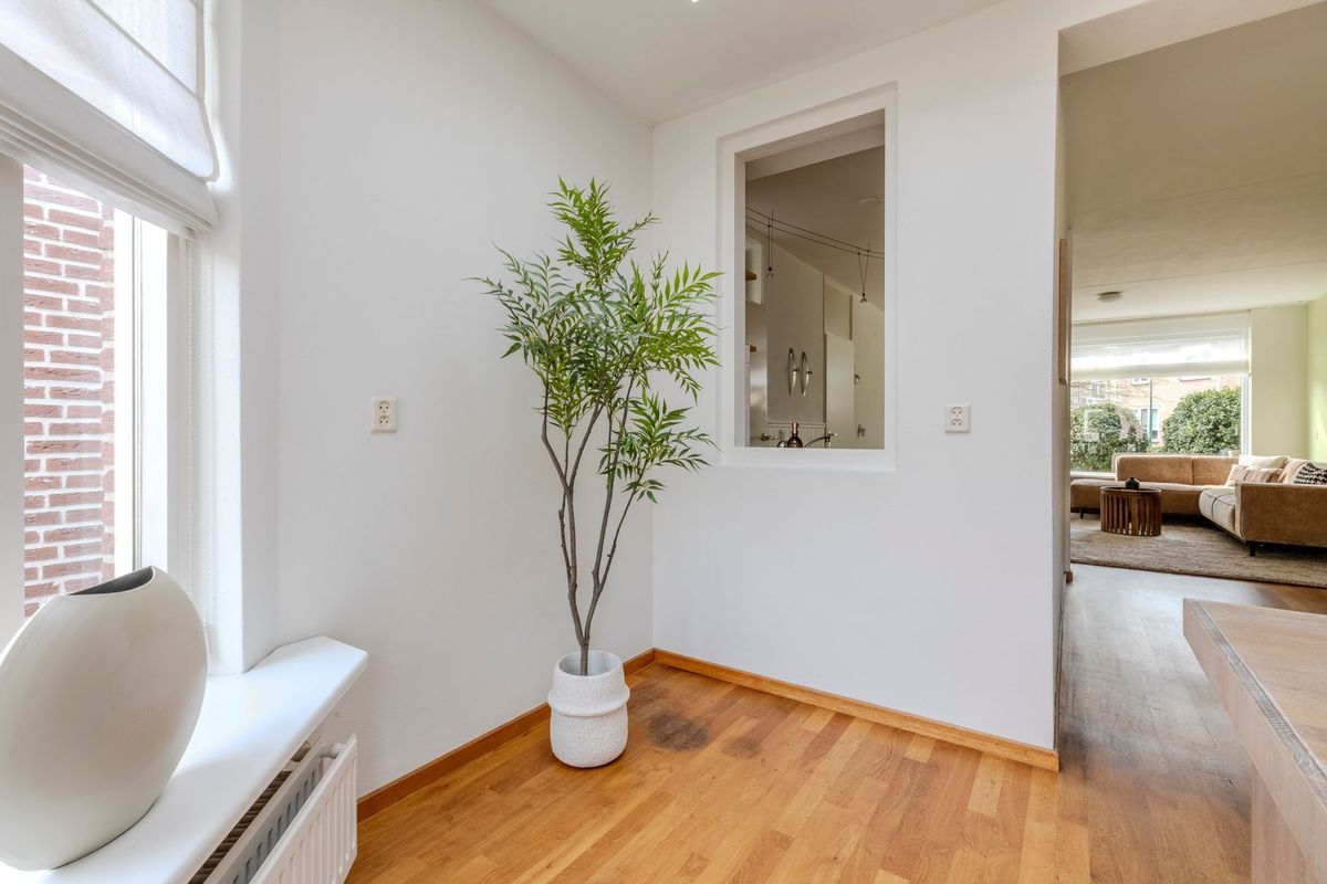 Hagedoorn 10 Photo Blur 10