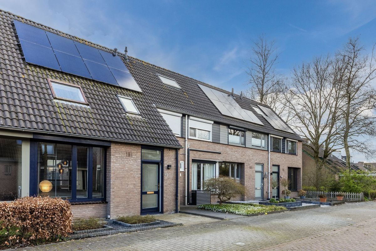 Gagelrijs 81 Photo Blur 26