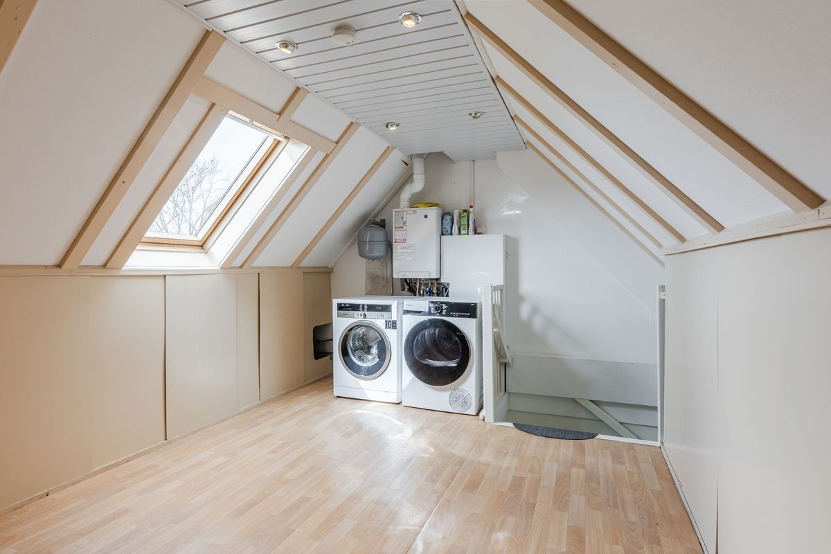 Gagelrijs 81 Photo Blur 24