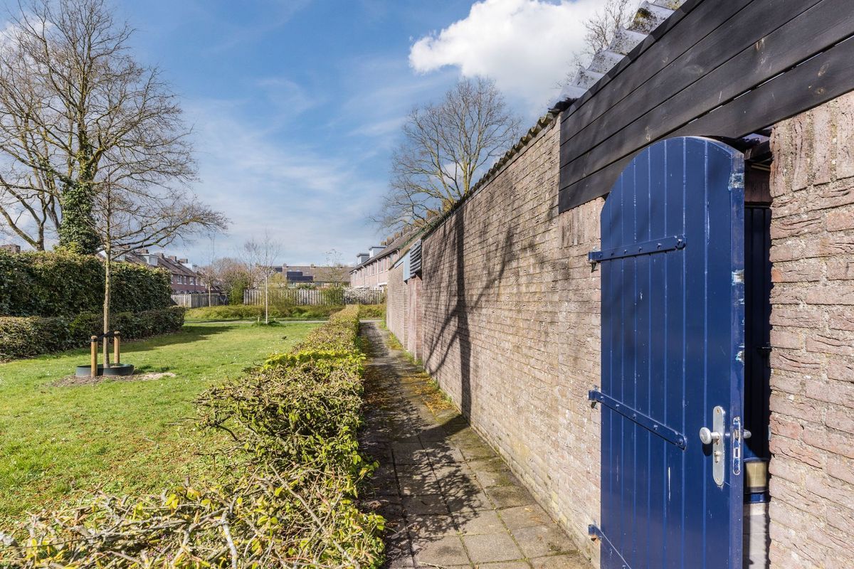 Gagelrijs 81 Photo Blur 25