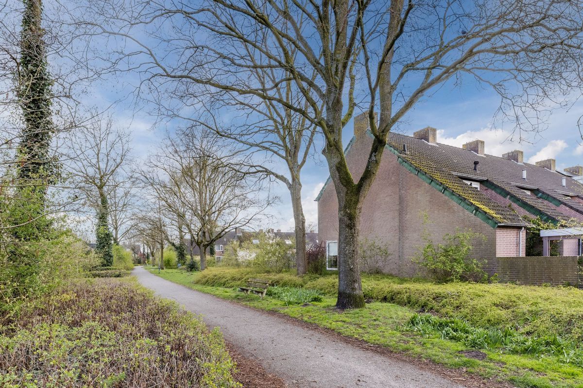 Gagelrijs 81 Photo Blur 28