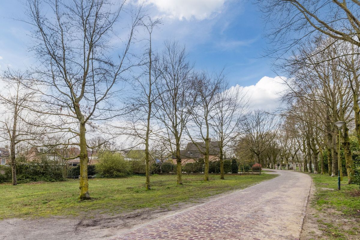 Gagelrijs 81 Photo Blur 29