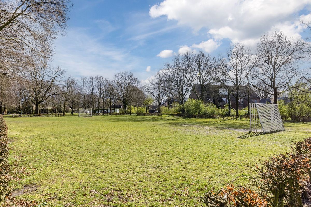 Gagelrijs 81 Photo Blur 31