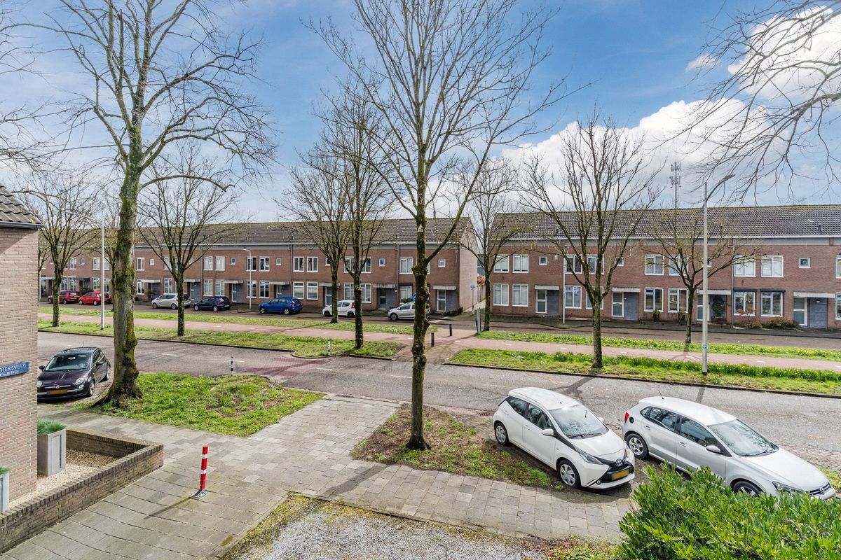 Looiersveld 22 Photo Blur 21