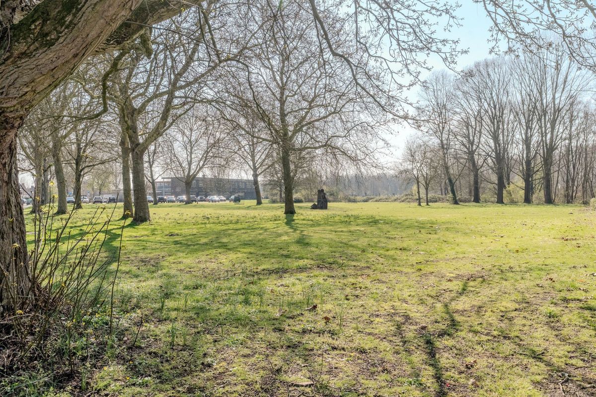 Linze 32 Photo Blur 48