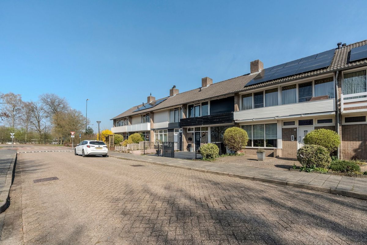 Linze 32 Photo Blur 47