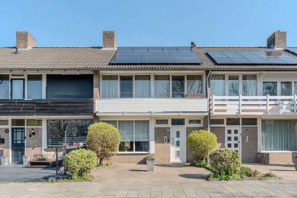 Linze 32 Photo Blur 0