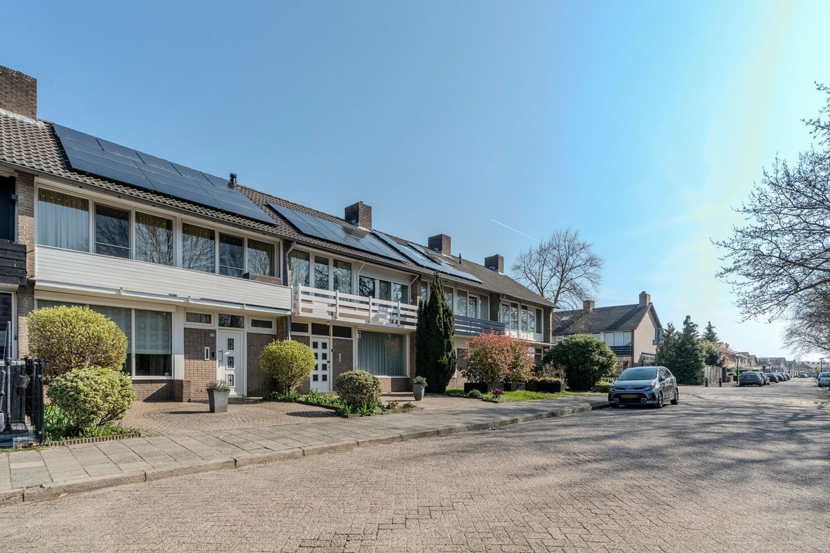 Linze 32 Photo Blur 3