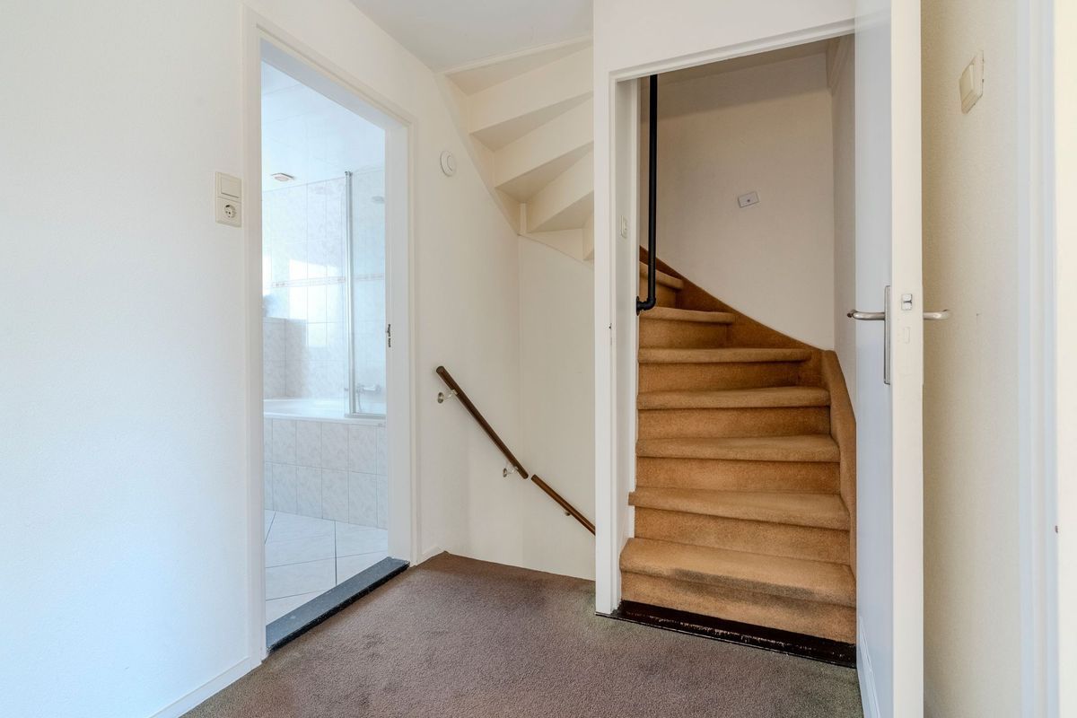 Linze 32 Photo Blur 22