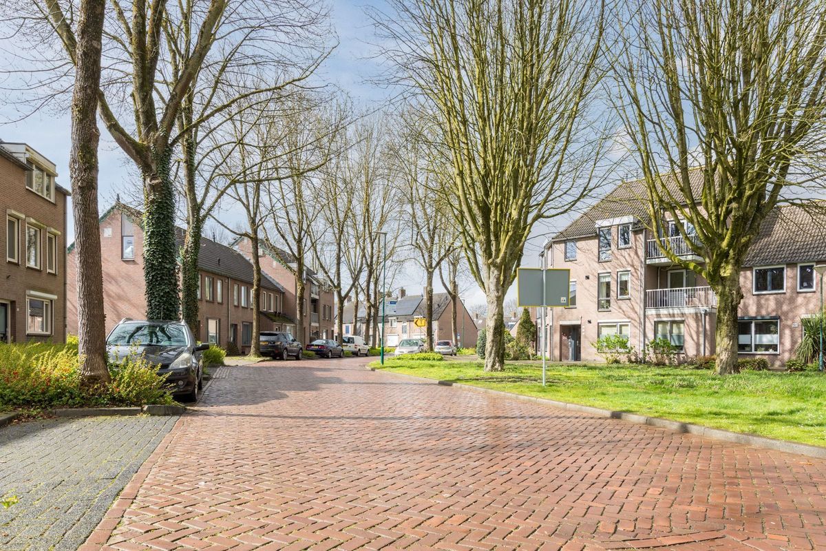 Zaaren 62 Photo Blur 39