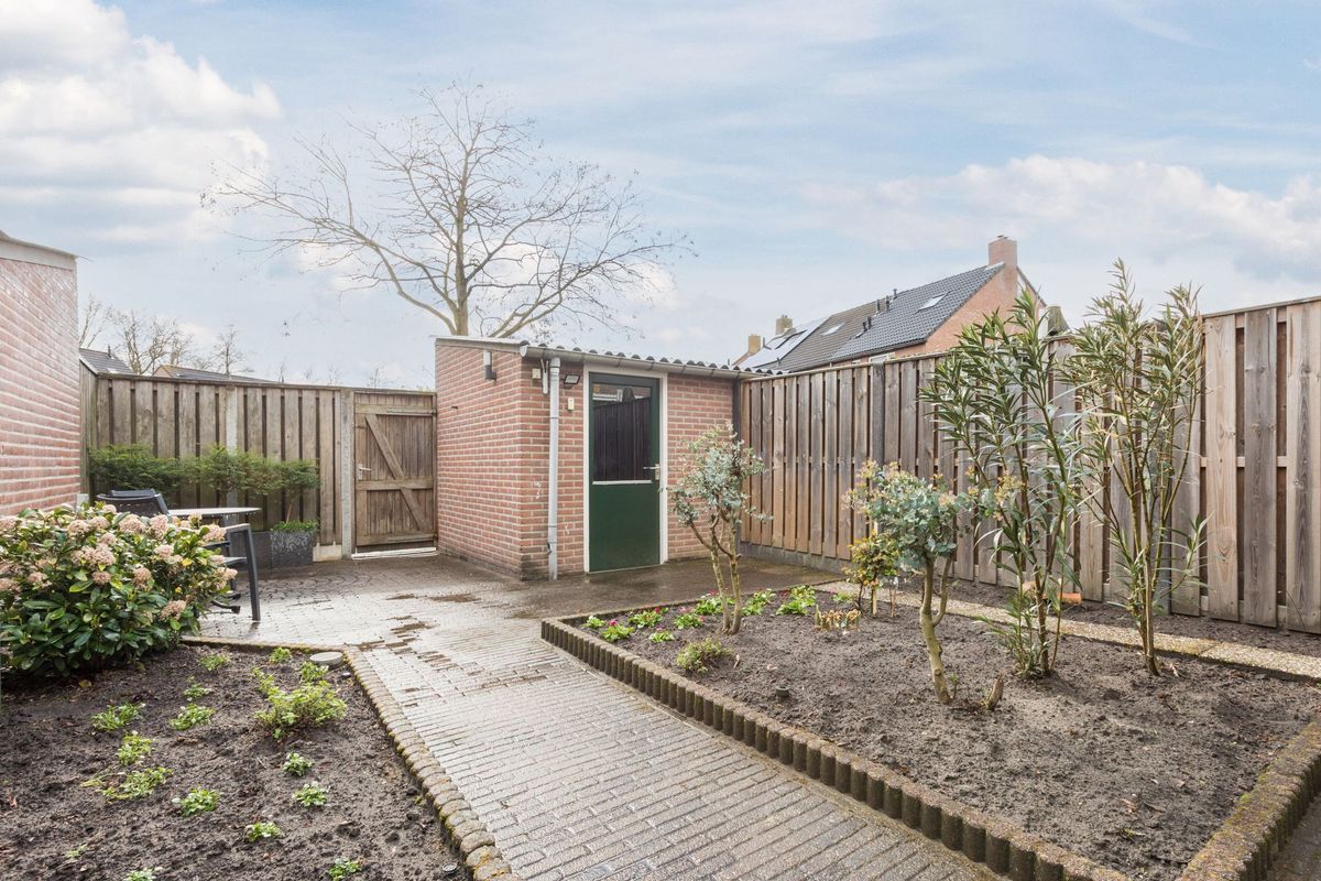 Zaaren 62 Photo Blur 16