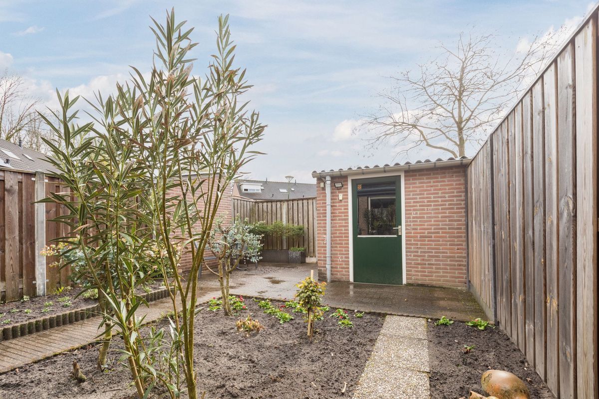 Zaaren 62 Photo Blur 17