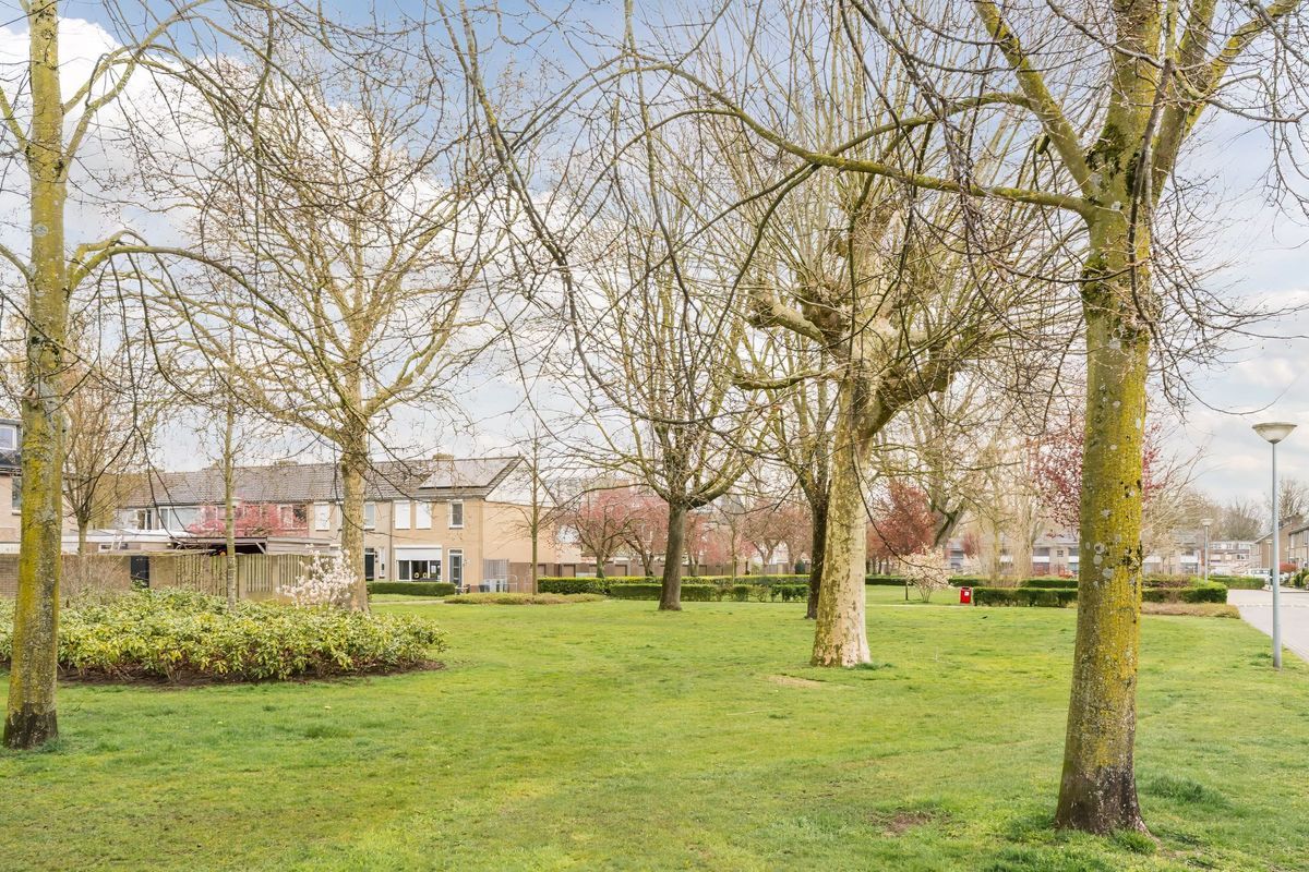 Mr. Sprenger van Eykstraat 9 Photo Blur 46