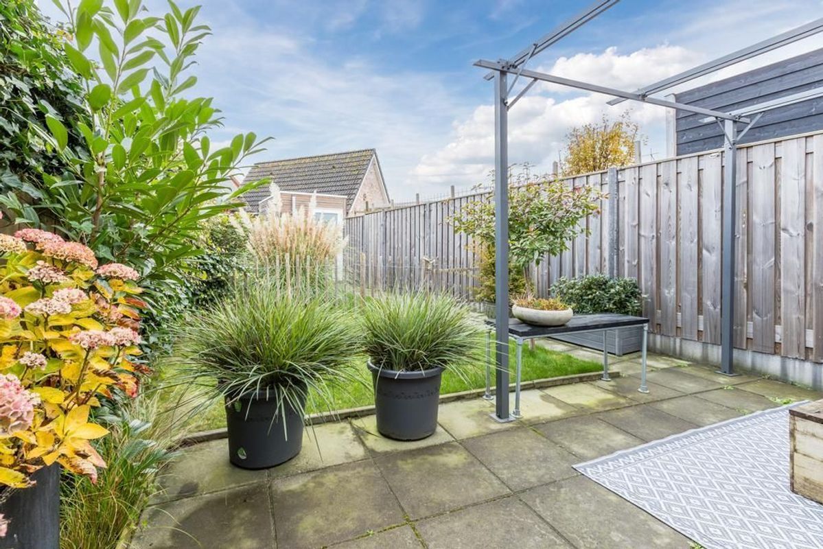 Lange Geer 3 Photo Blur 12