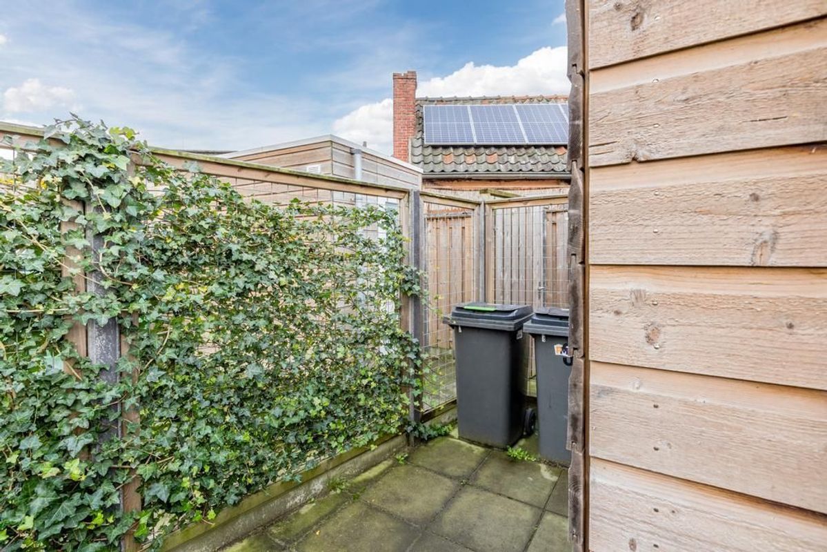 Lange Geer 3 Photo Blur 21