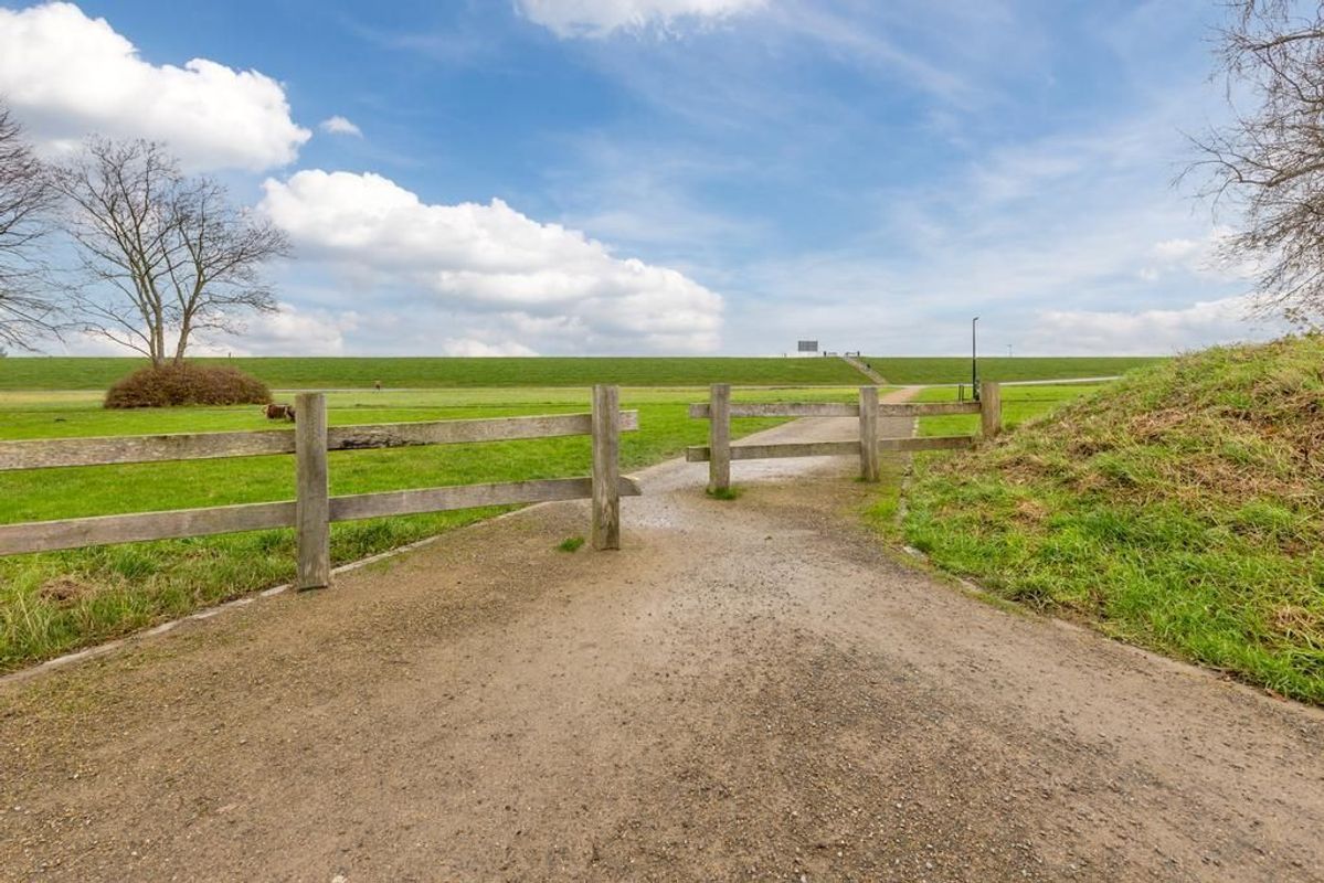 Lange Geer 3 Photo Blur 43