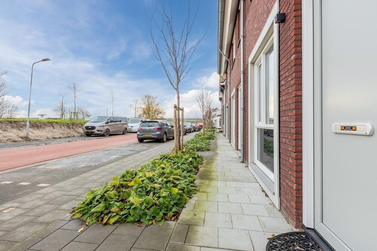 Lange Geer 3 Photo Blur 42