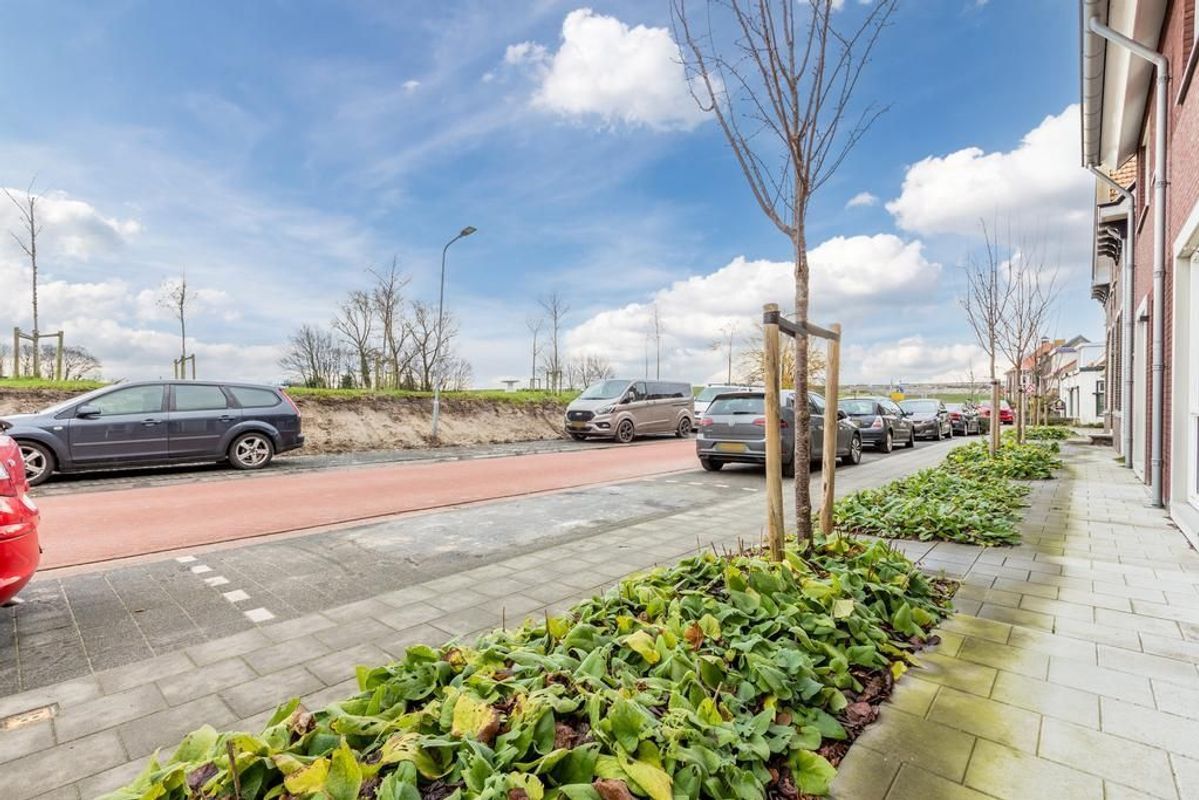 Lange Geer 3 Photo Blur 48