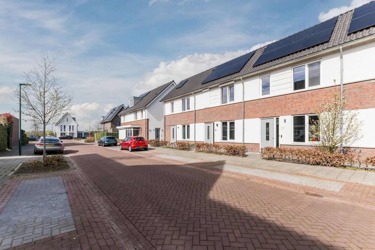 Koekoeksbloem 5 Photo Blur 42