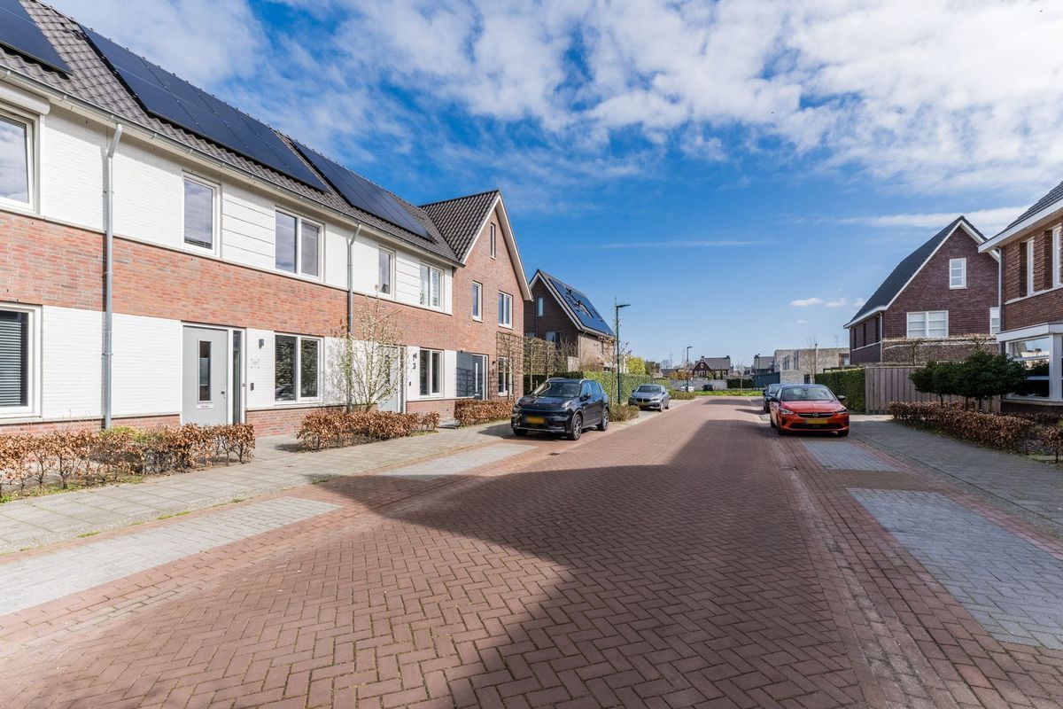 Koekoeksbloem 5 Photo Blur 43