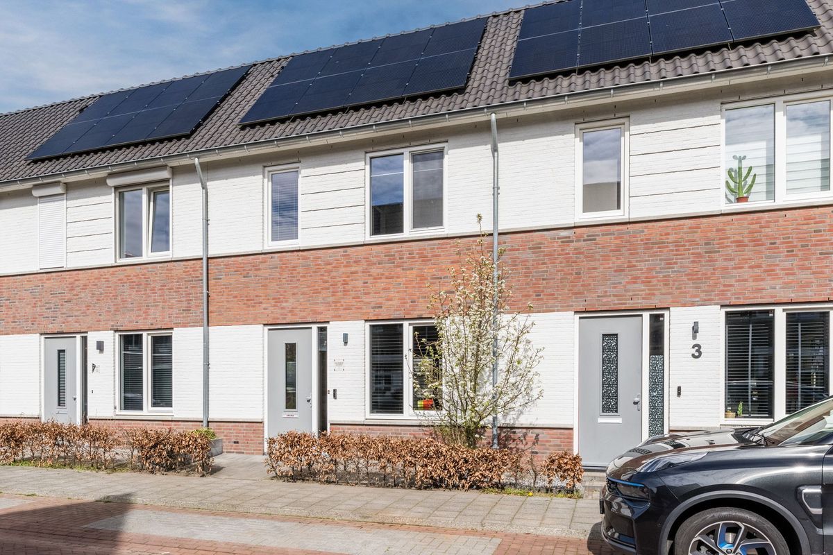 Koekoeksbloem 5 Photo Blur 5