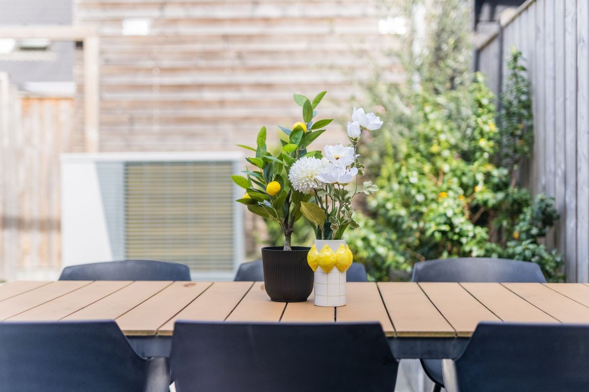 Koekoeksbloem 5 Photo Blur 24