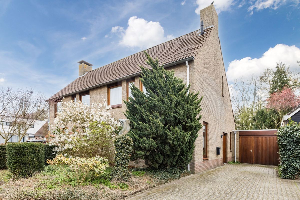 Middelgraaf 54 Photo Blur 32