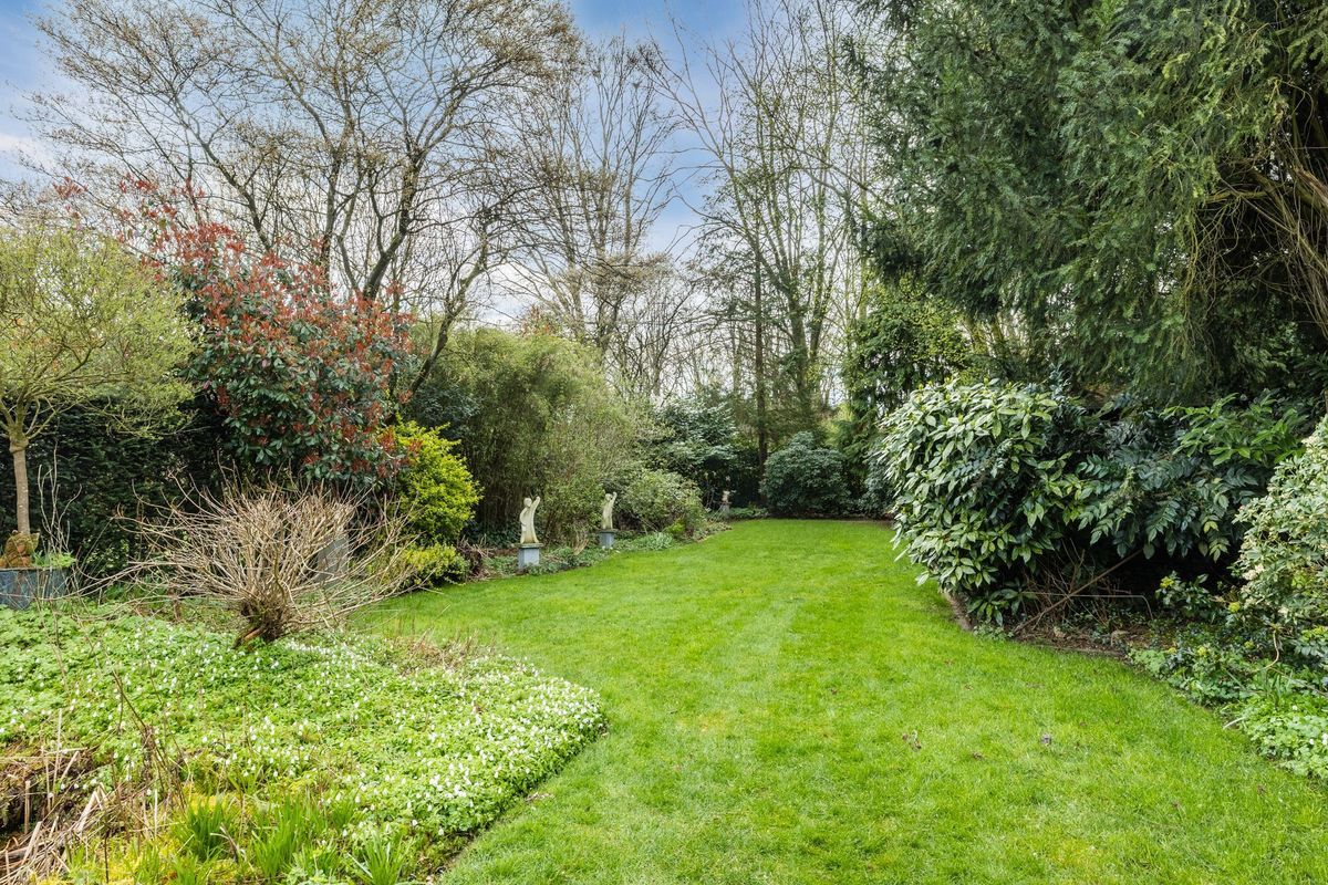 Middelgraaf 54 Photo Blur 31