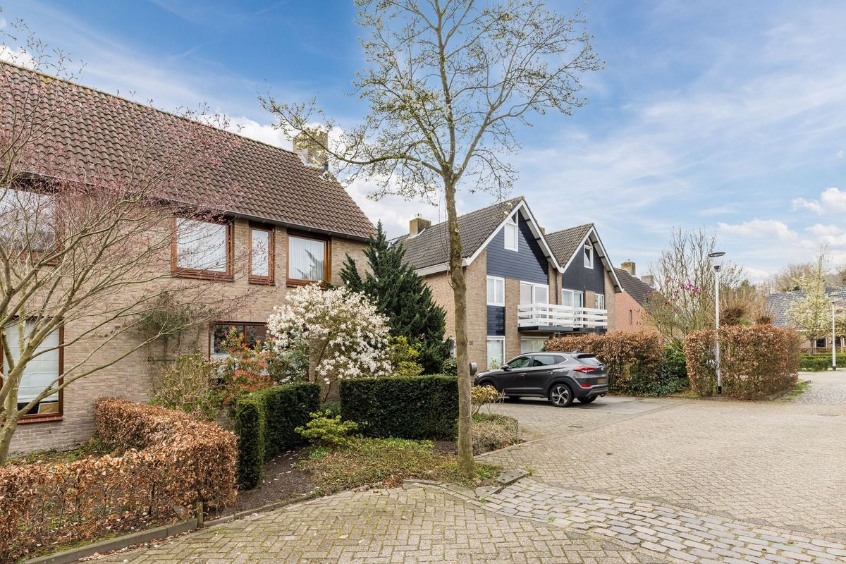 Middelgraaf 54 Photo Blur 34