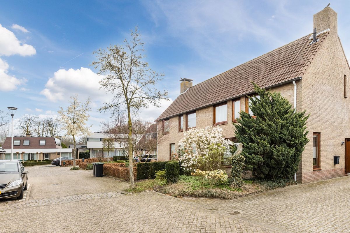 Middelgraaf 54 Photo Blur 35