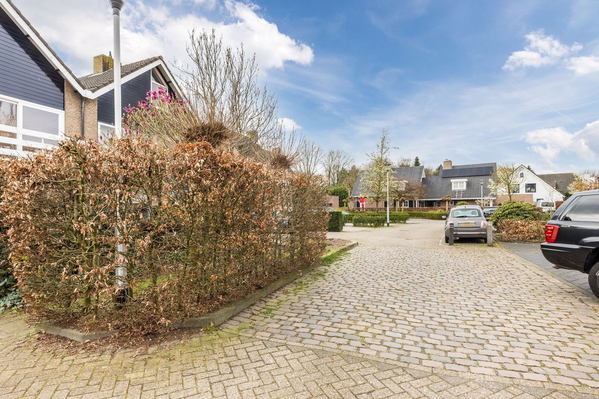 Middelgraaf 54 Photo Blur 36