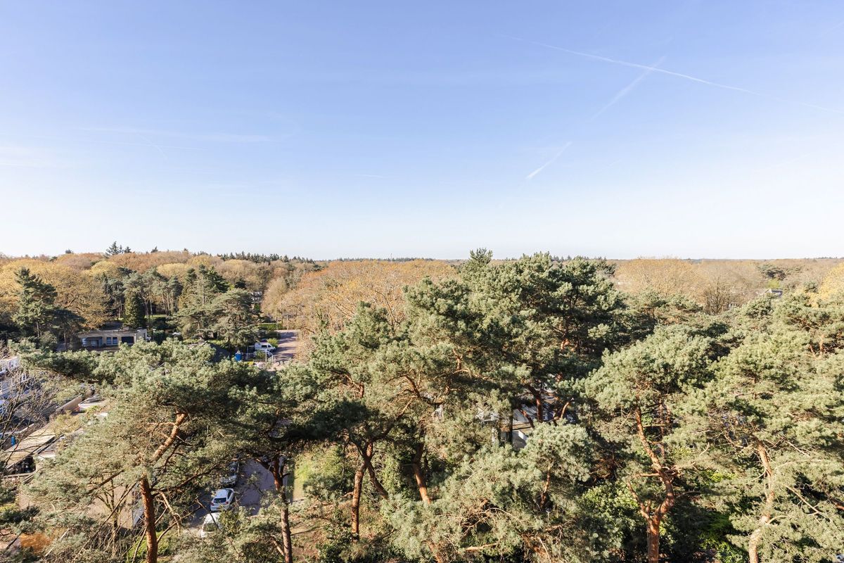 Hugo Verrieststraat 109 Photo Blur 6