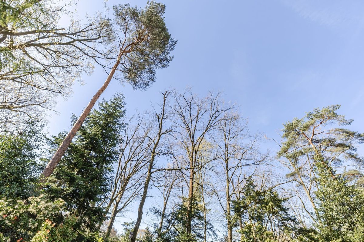 Hugo Verrieststraat 109 Photo Blur 7