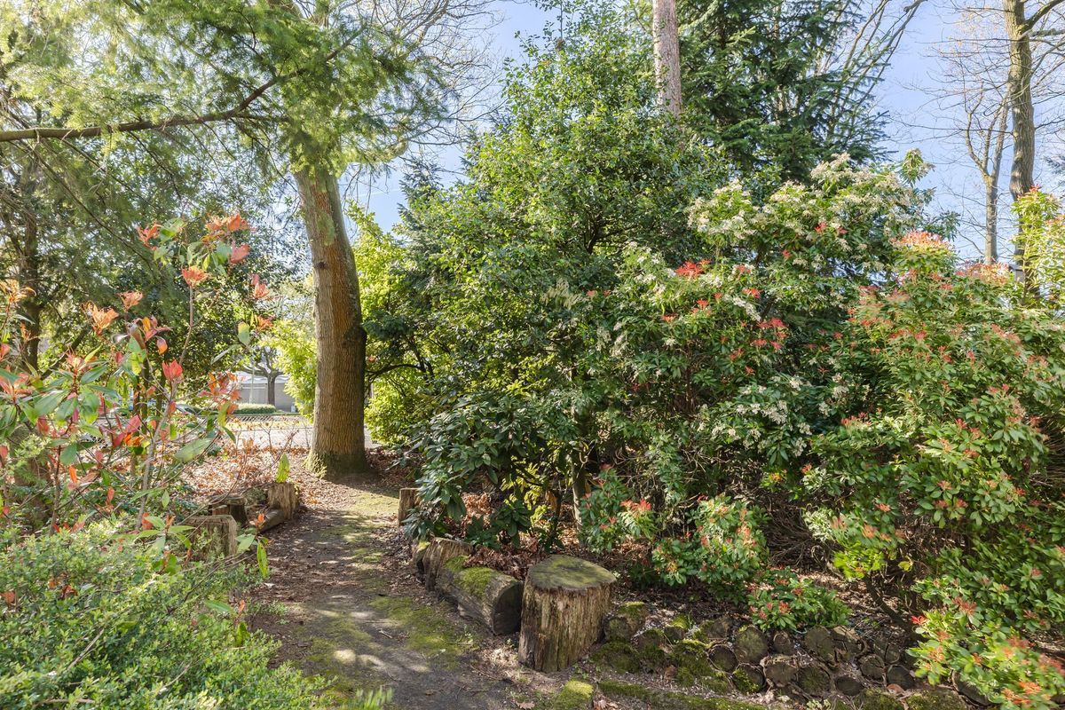 Hugo Verrieststraat 109 Photo Blur 27