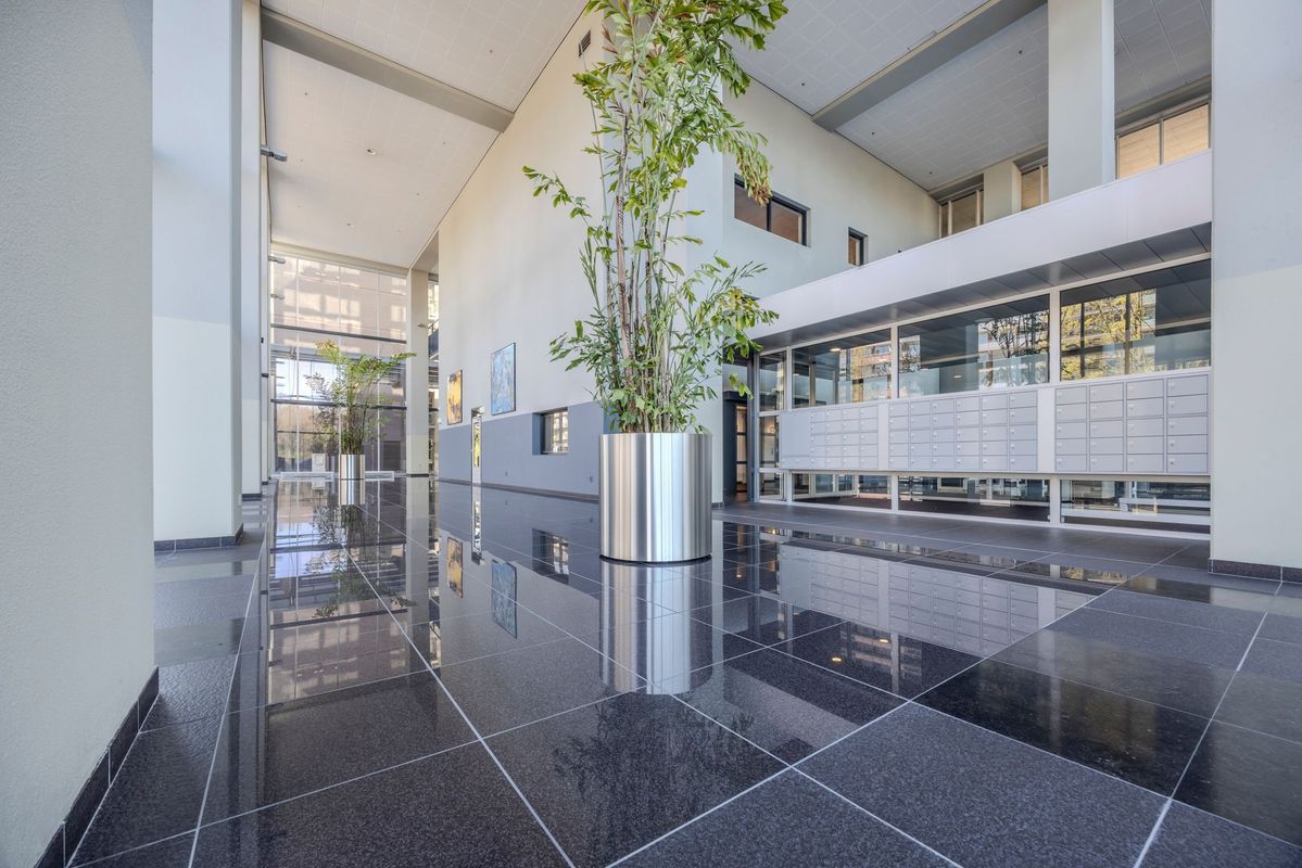 Westpoint 95 Photo Blur 36