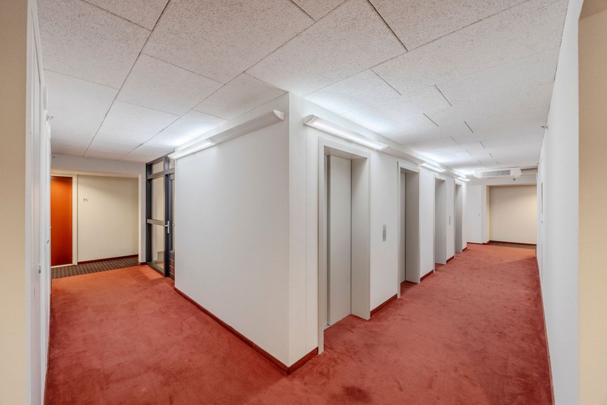 Westpoint 95 Photo Blur 33