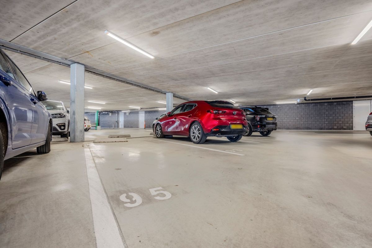 Westpoint 95 Photo Blur 34