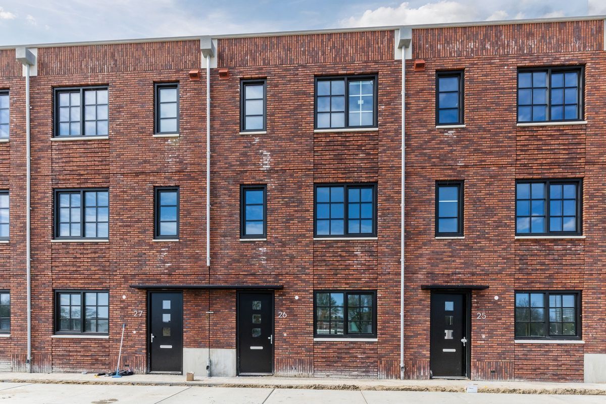 Olifantoortje 26 Photo Blur 0