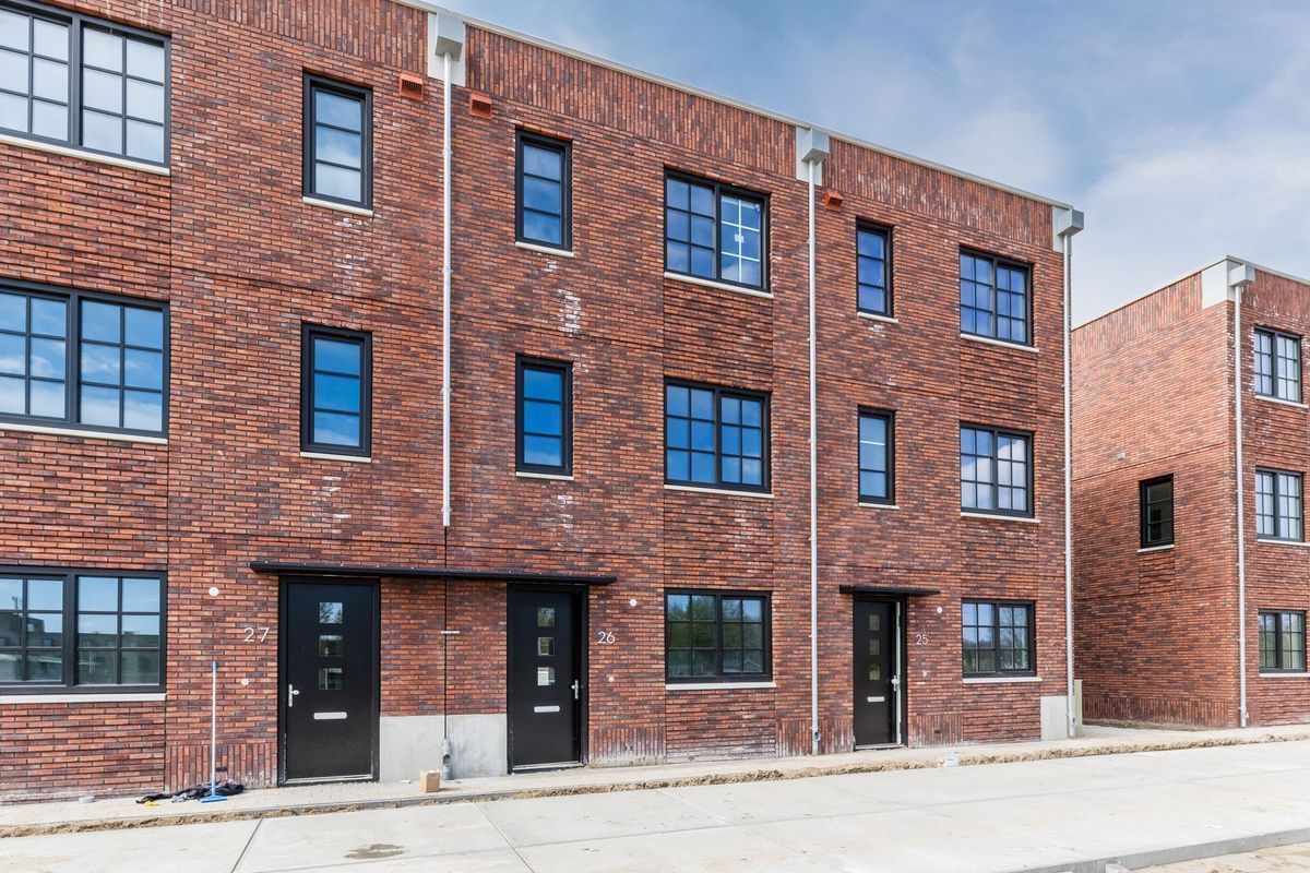 Olifantoortje 26 Photo Blur 29