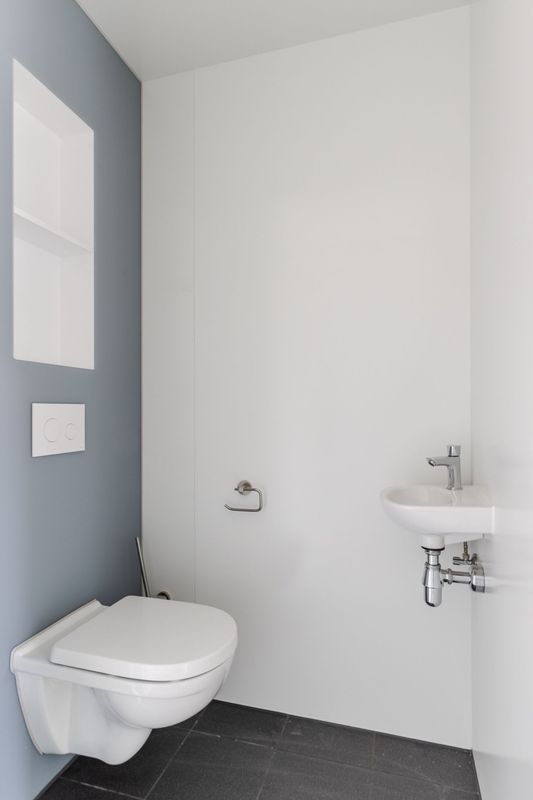 Olifantoortje 26 Photo Blur 10