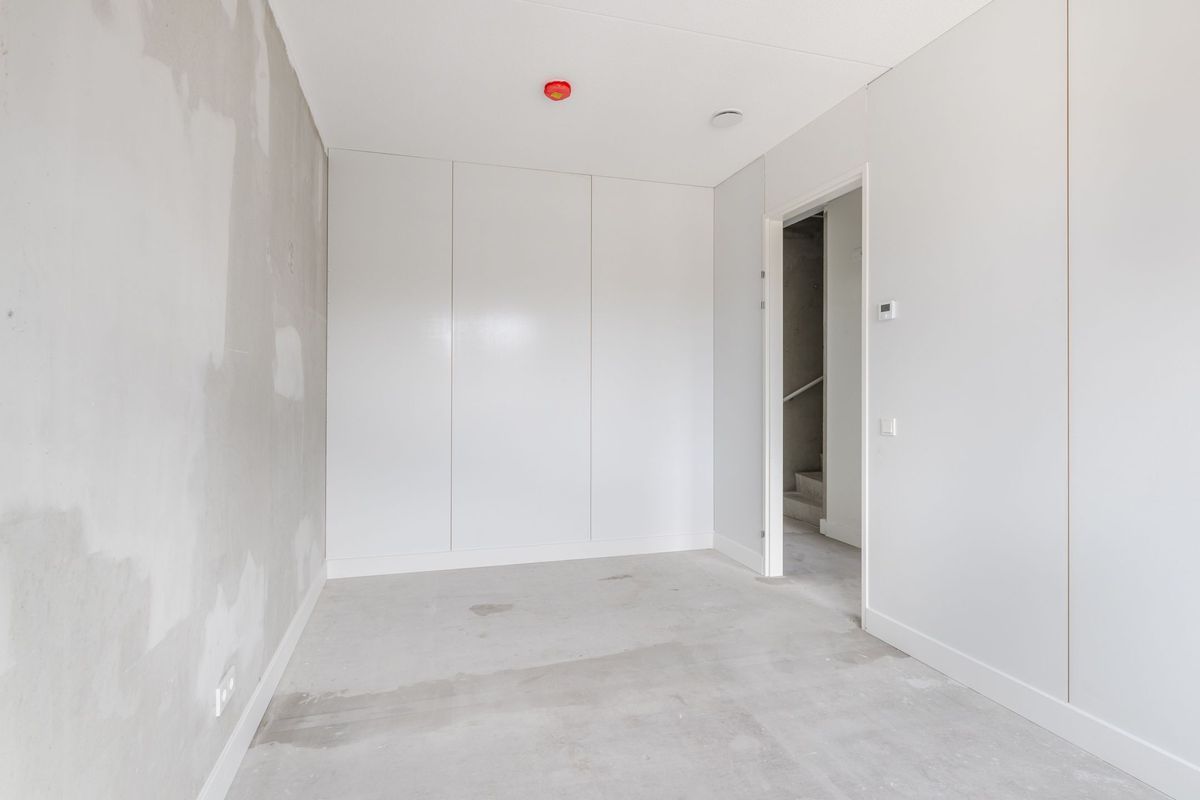 Olifantoortje 26 Photo Blur 14