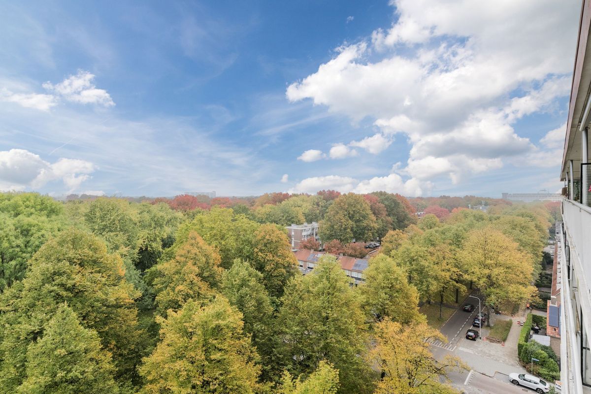 Postelse Hoeflaan 210 Photo Blur 13