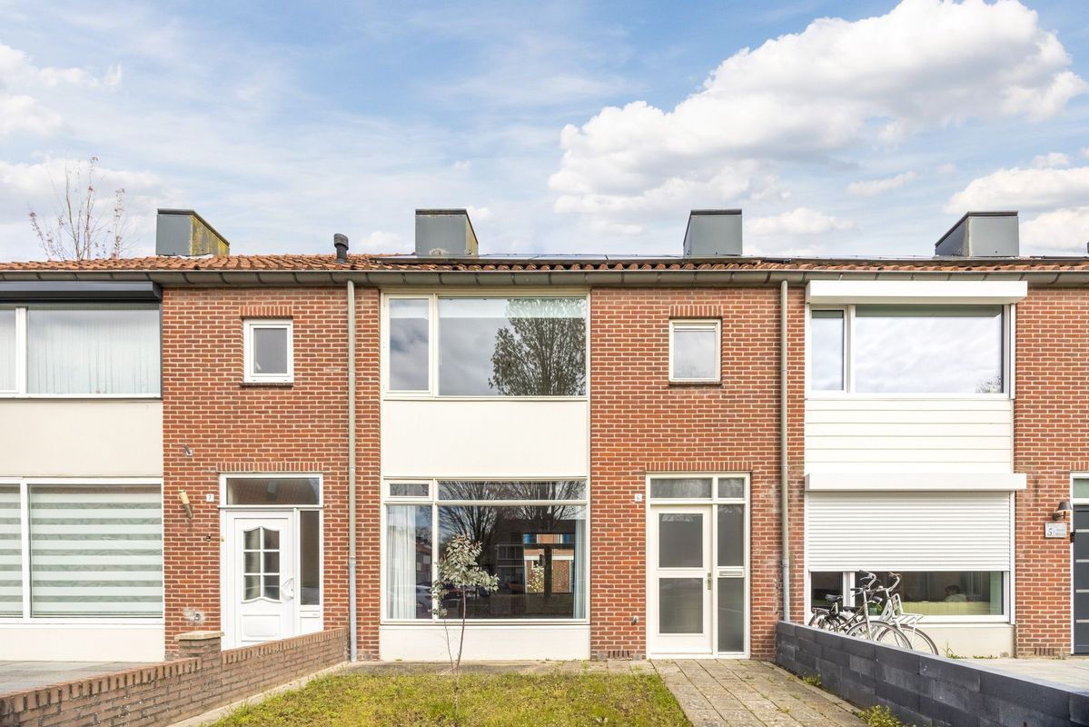 Violethof 6 Photo Blur 40