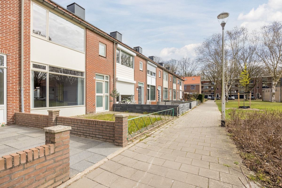 Violethof 6 Photo Blur 41