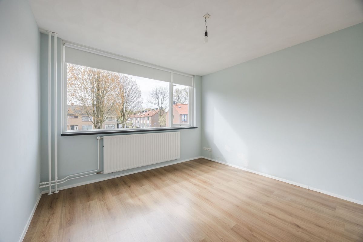 Violethof 6 Photo Blur 15