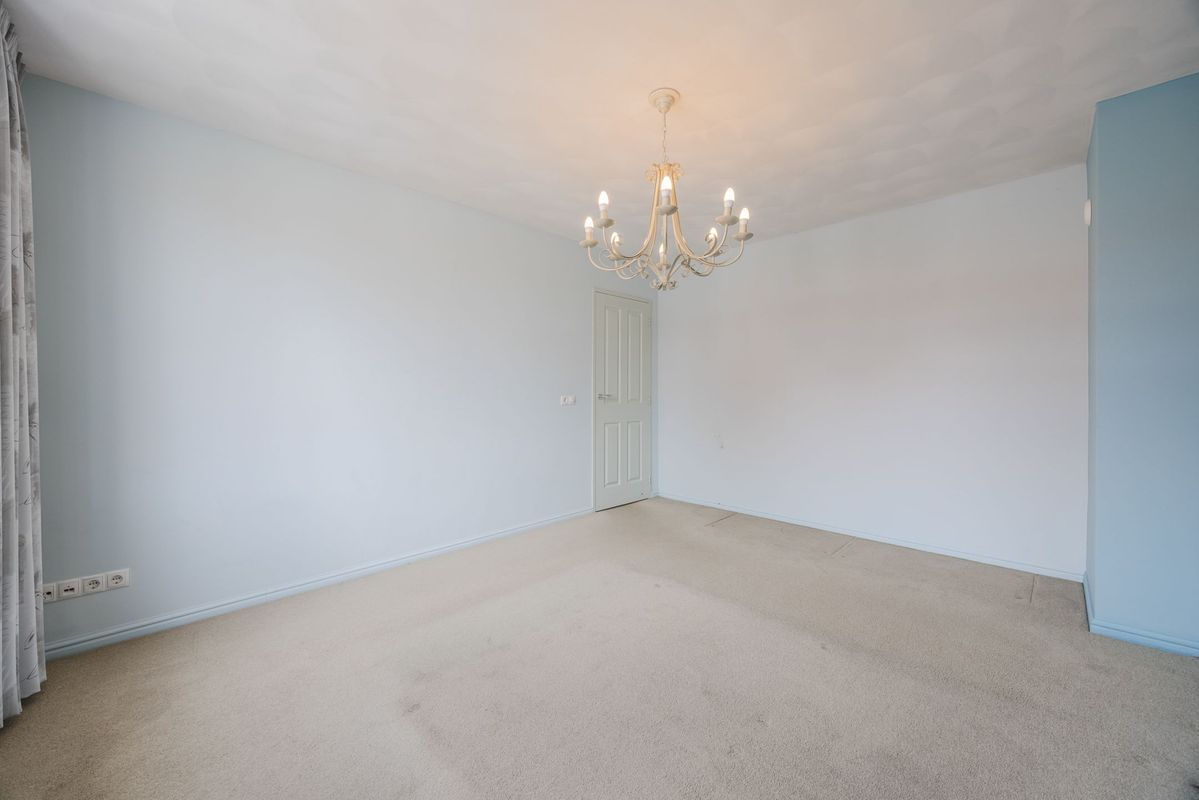 Violethof 6 Photo Blur 21